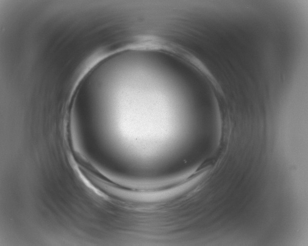 X0000082681484200702021214