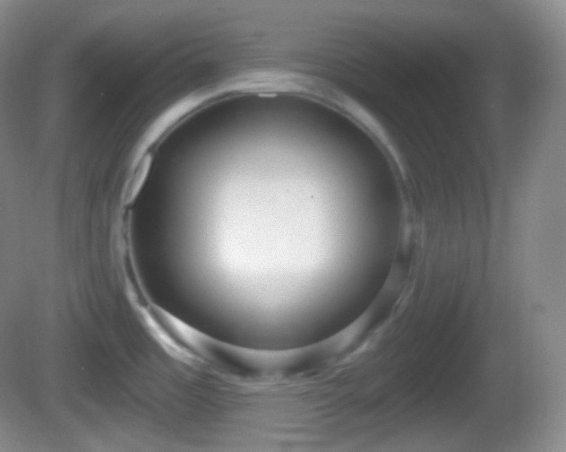 X0000082681485200702021213