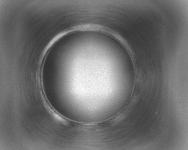 X0000082681486200702021213