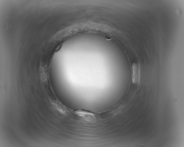 X0000082681491200702021213