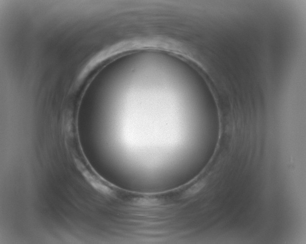 X0000082681499200702021213