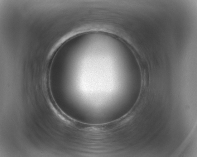 X0000082681500200702021213