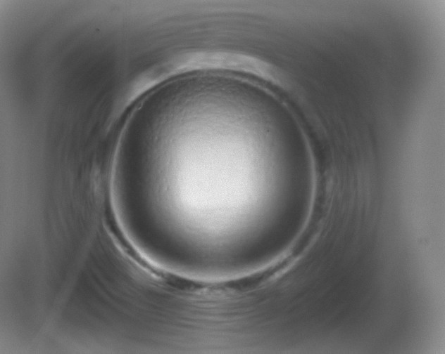 X0000082681505200702021213