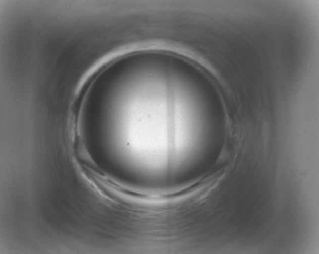 X0000082681510200702021213