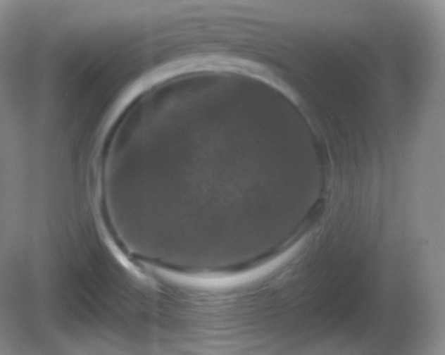 X0000082681515200702021213