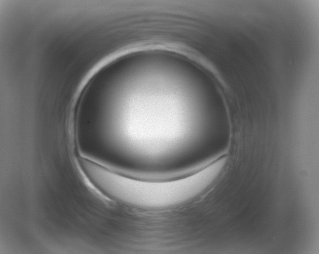 X0000082681516200702021213