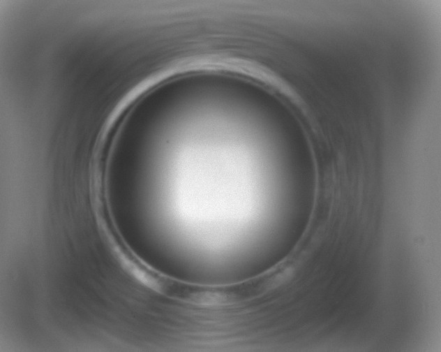 X0000082681517200702021213