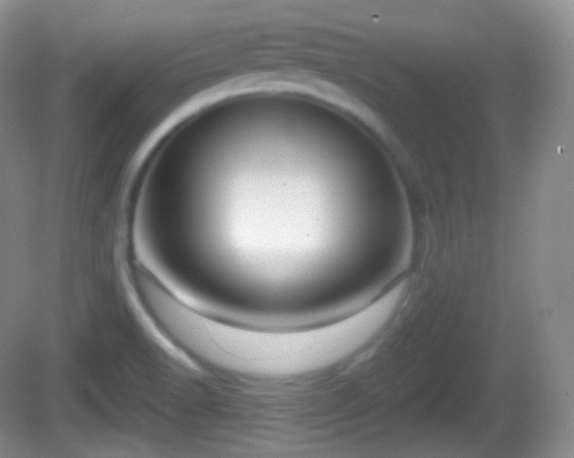 X0000082681518200702021213