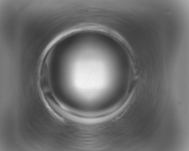 X0000082681520200702021213
