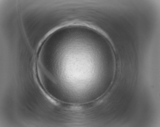 X0000082681525200702021213