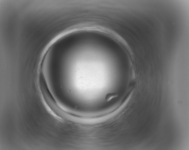 X0000082681528200702021213