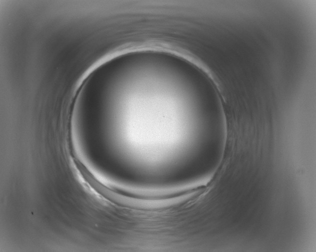 X0000082681534200702021213