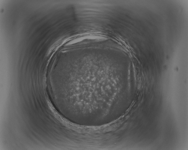 X0000082680002200702091644