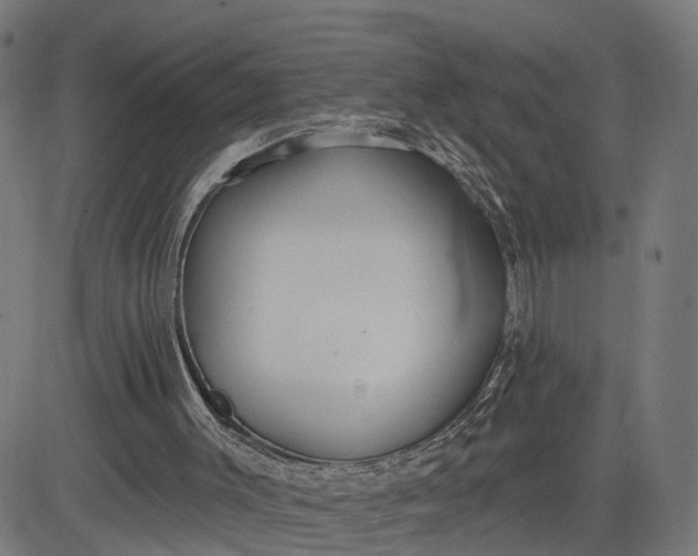 X0000082680003200702091644