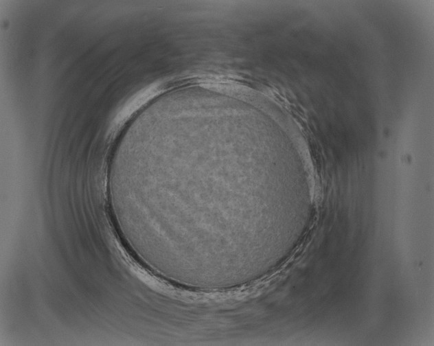 X0000082680005200702091644