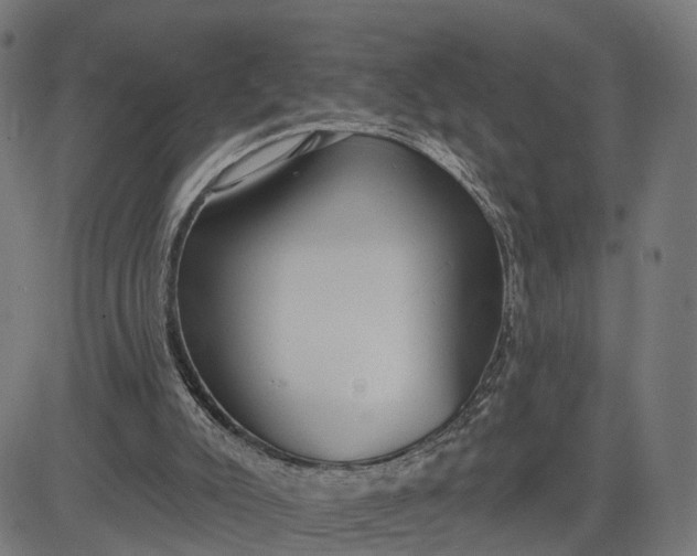 X0000082680007200702091644