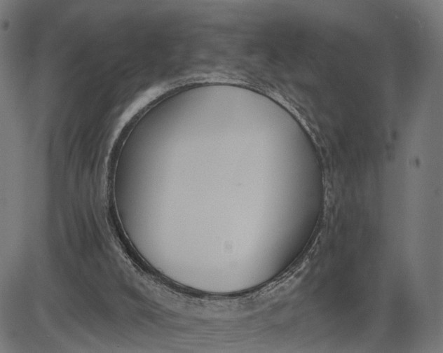 X0000082680008200702091644