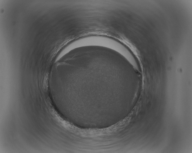 X0000082680009200702091644