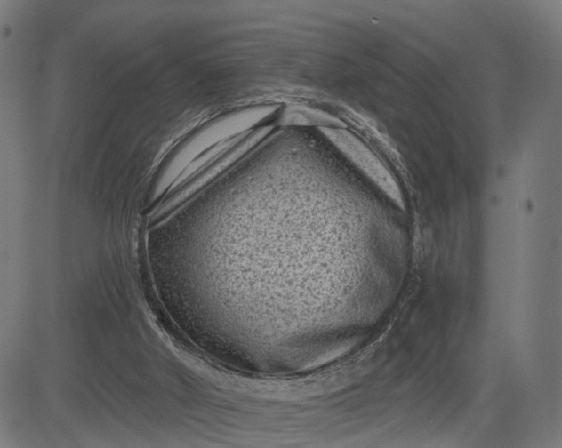 X0000082680010200702091644