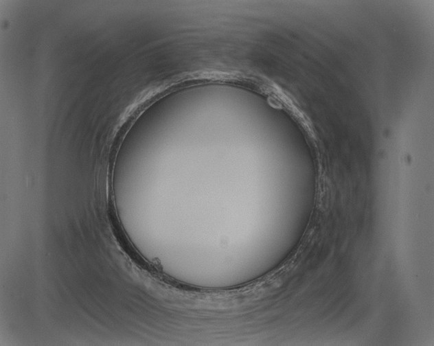 X0000082680011200702091644