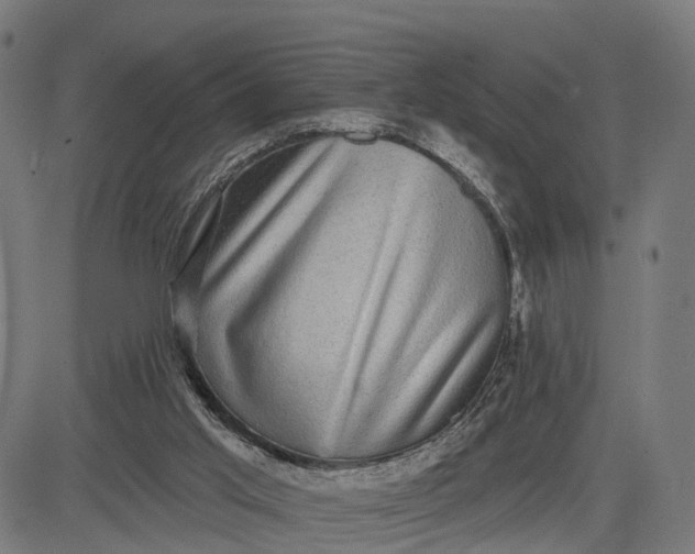 X0000082680013200702091644