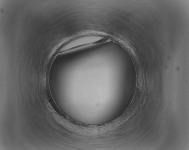 X0000082680015200702091644