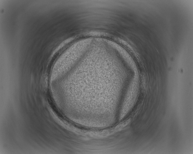 X0000082680016200702091644