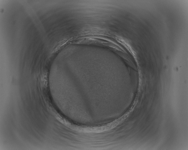 X0000082680017200702091644