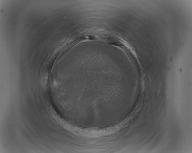 X0000082680018200702091643