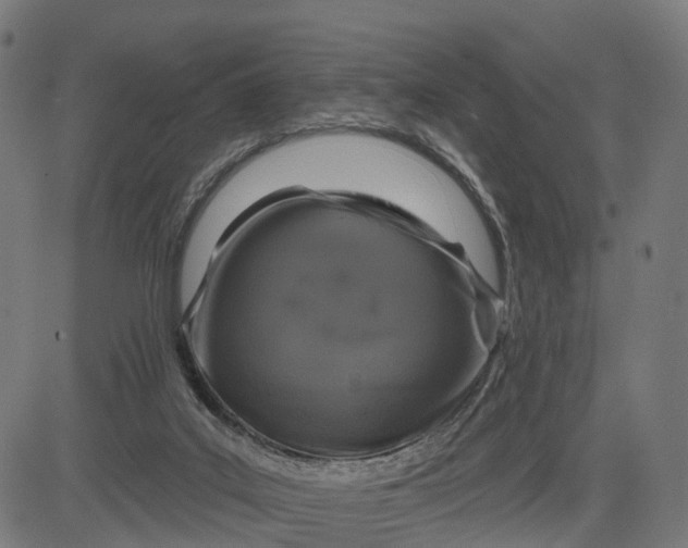 X0000082680019200702091643