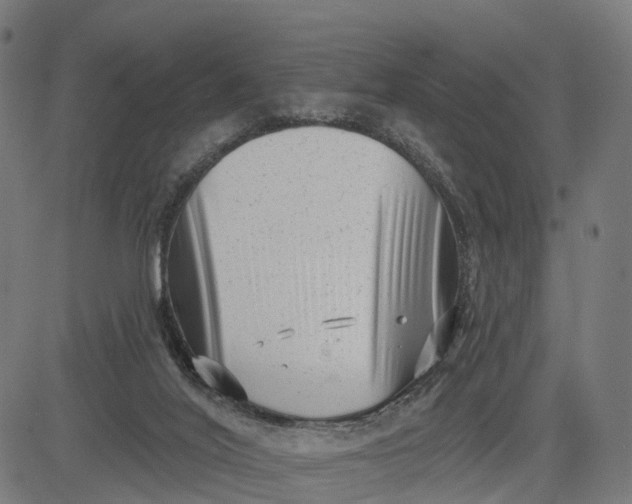 X0000082680020200702091643