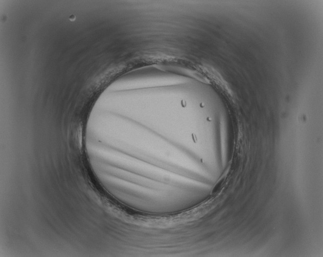 X0000082680021200702091643