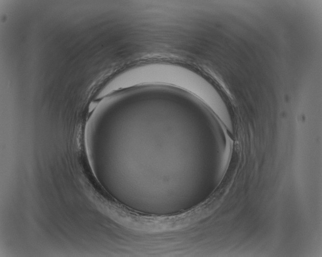 X0000082680023200702091643