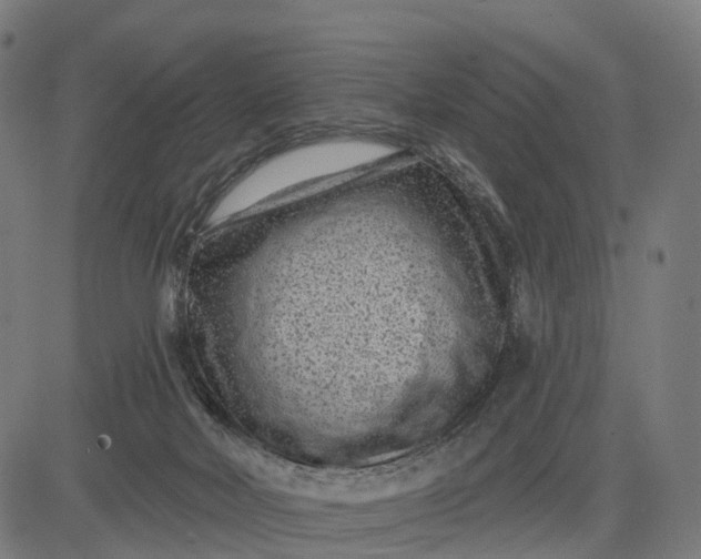 X0000082680026200702091643