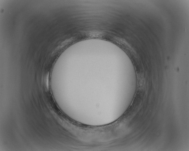 X0000082680028200702091643