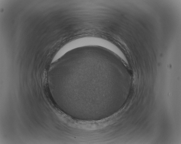 X0000082680029200702091643