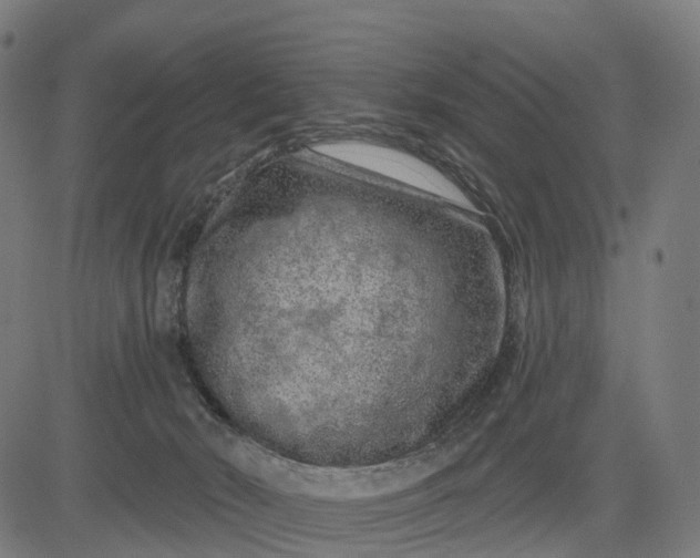 X0000082680030200702091643