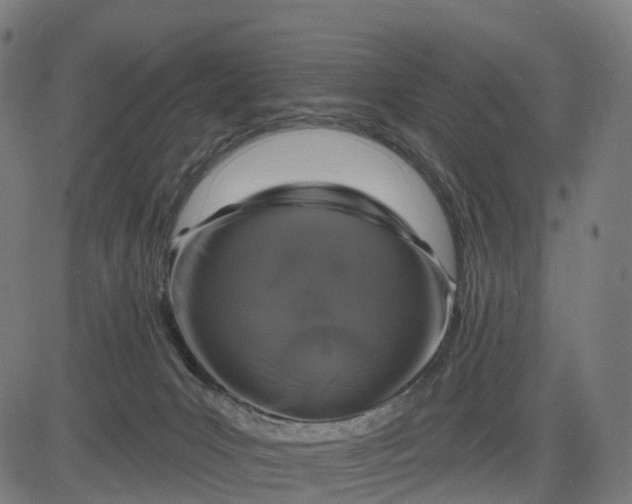 X0000082680031200702091643