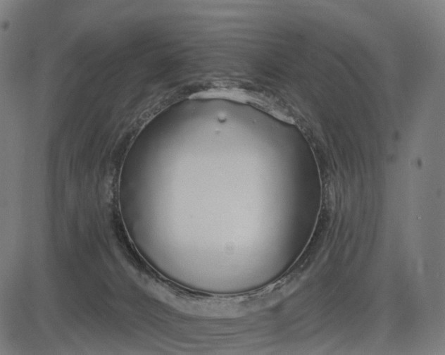 X0000082680032200702091643