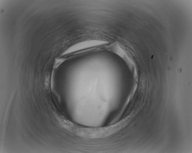 X0000082680033200702091643