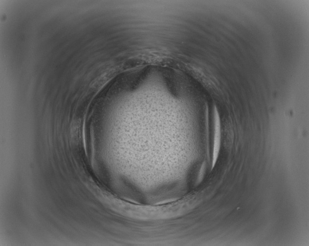 X0000082680034200702091643