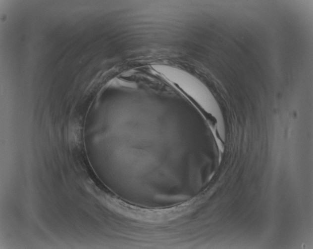 X0000082680035200702091643