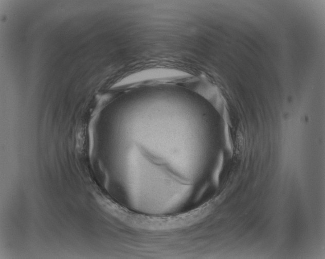 X0000082680037200702091643