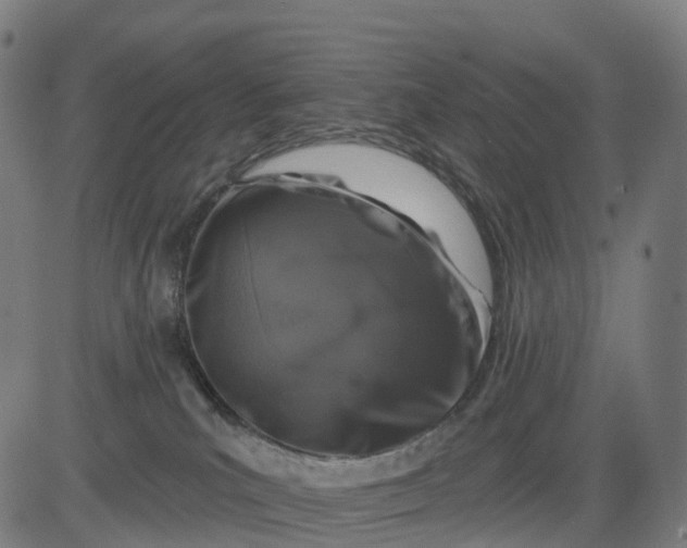 X0000082680039200702091643