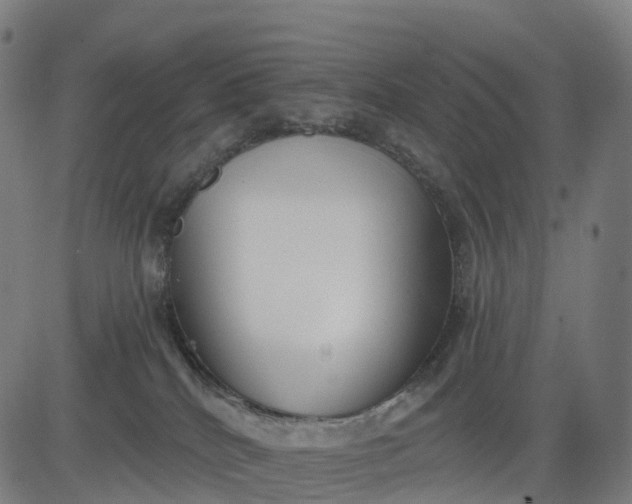 X0000082680040200702091643