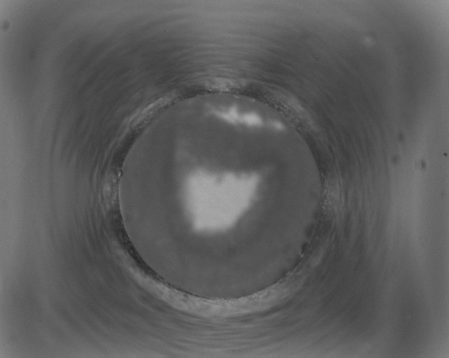 X0000082680043200702091643