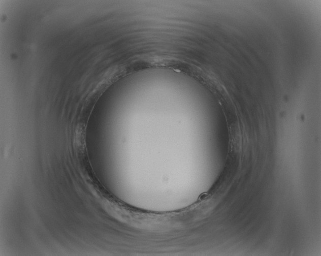 X0000082680044200702091643