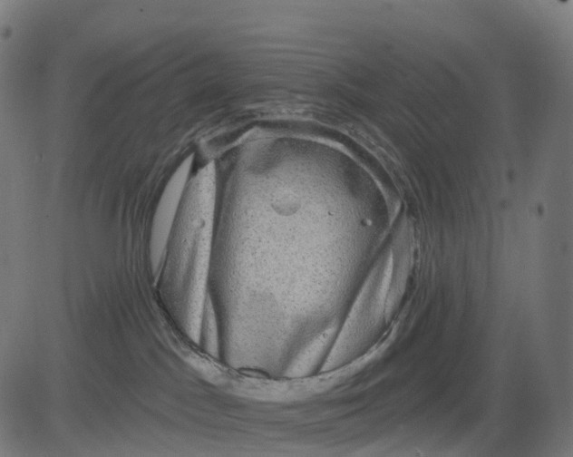 X0000082680045200702091643