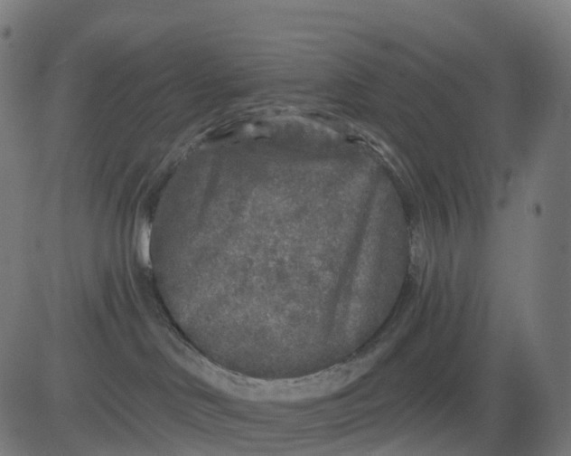 X0000082680046200702091643