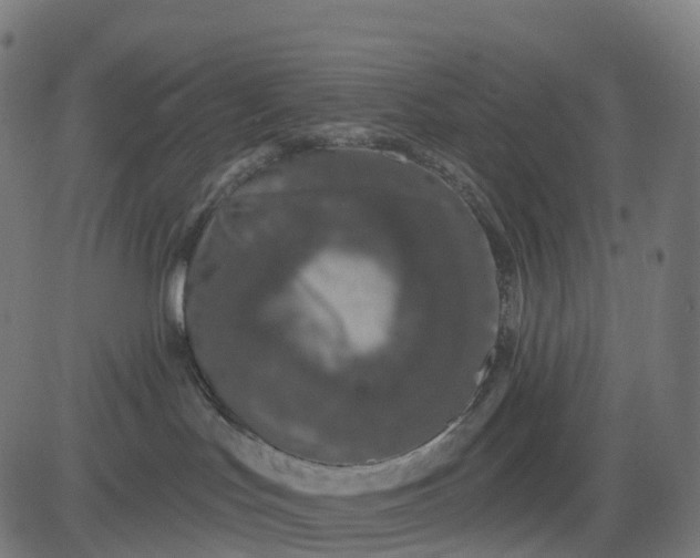 X0000082680047200702091643